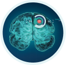 Grafische Darstellung eines Gehirns